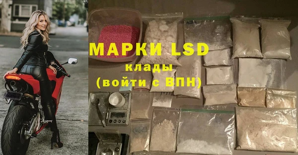 гидра Заволжье